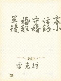 军婚守活寡重生后离婚的小说