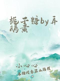 栀子糖by弄白鹅黄