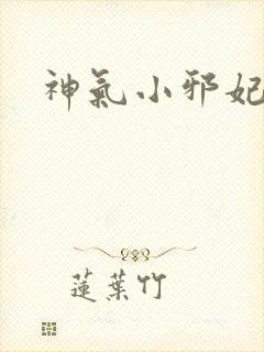 神气小邪妃