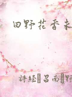 田野花香未删节