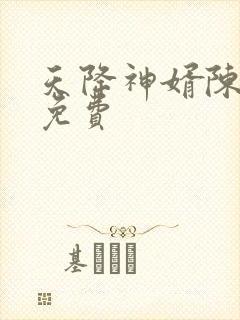 天降神婿陈黄皮免费