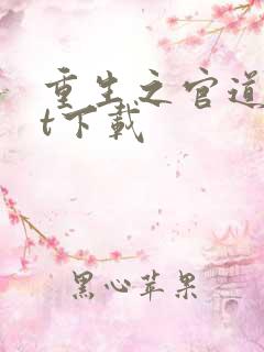 重生之官道txt下载