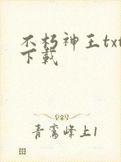 不朽神王txt下载