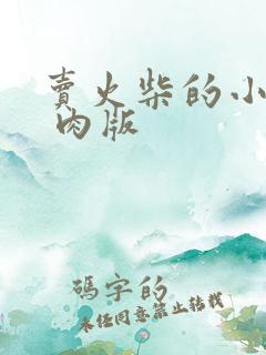 卖火柴的小男孩 肉版