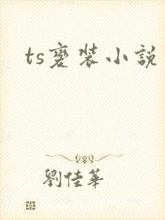 ts变装小说