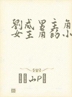 刘成男主角刘雪女主角的小说