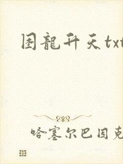 困龙升天txt