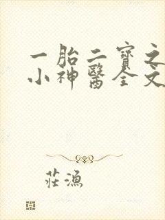 一胎二宝之弃妃小神医全文免费阅读