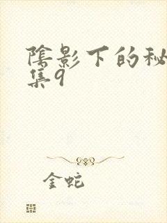 阴影下的秘密全集9