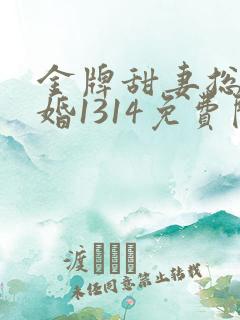金牌甜妻总裁宠婚1314免费阅读
