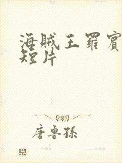 海贼王罗宾被h短片