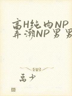 高H纯肉NP 弄潮NP男男