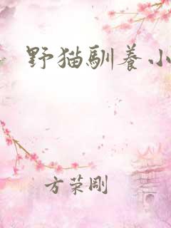 野猫驯养小说