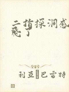 二指探洞感觉要飞了