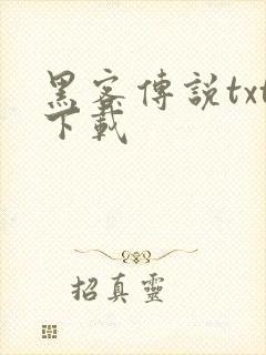 黑客传说txt下载