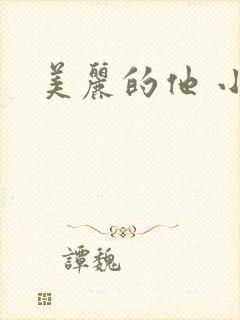 美丽的他 小说