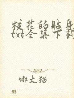 校花的贴身保镖txt全集下载