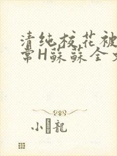 清纯校花被脔日常H苏苏全文免费