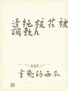 清纯校花被地狱调教h