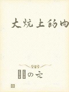 大炕上的肉伦二