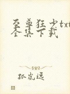 至尊狂少txt全集下载