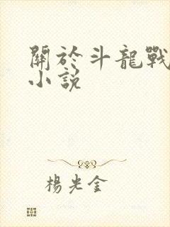 关于斗龙战士的小说