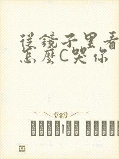 从镜子里看我是怎么C哭你