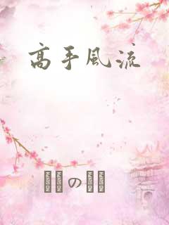 高手风流