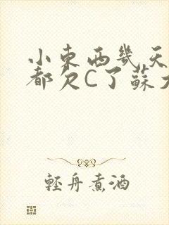 小东西几天没做都欠C了苏大深