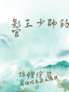 影王少帅的女长官