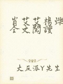 肖艾艾杨烁小说全文阅读