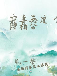 宠妻无度  金牌相公