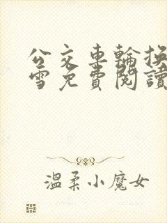 公交车轮换C程雪免费阅读