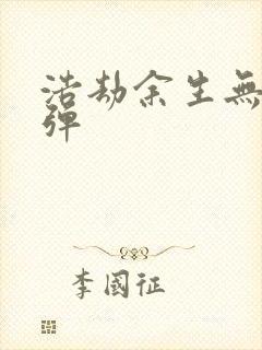 浩劫余生无限子弹