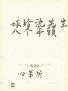 嫁给沈先生的第八个年头