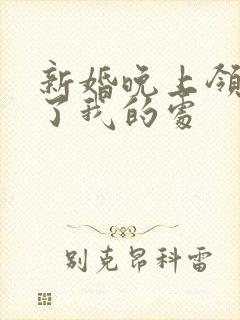 新婚晚上领导破了我的处