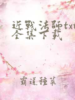 近战法师txt全集下载