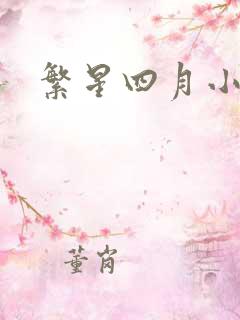 繁星四月小说