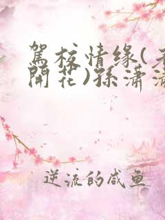 驾校情缘(老树开花)孙潇潇笔趣阁