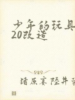 少年的玩具1一20改造