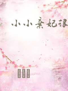 小小弃妃很倾城