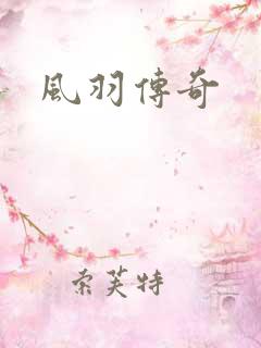 风羽传奇