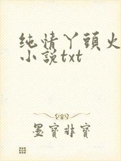 纯情丫头火辣辣小说txt