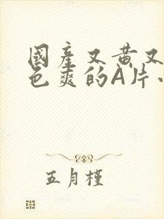 国产又黄又大又色爽的A片小说