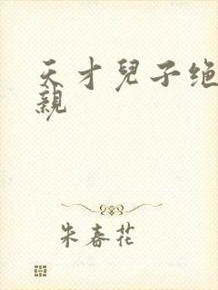 天才儿子绝色娘亲