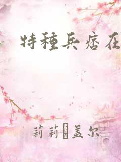 特种兵痞在都市