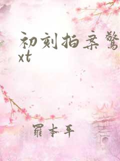 初刻拍案惊奇txt