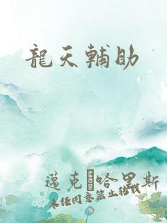 龙天辅助