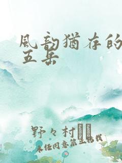 风韵犹存的四十五岳