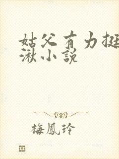 姑父有力挺送徐湫小说